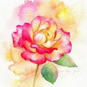 Meet your Posher, Natasha